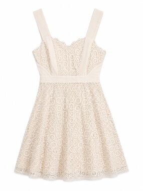 BCBG MaxAzria Metallic Lace Mini Cocktail Alena Dress Size 2 Cream Beige Silver